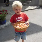 ファームステイ Bio-urlaubshof Dansbach シュピタル・アム・ピュールン
