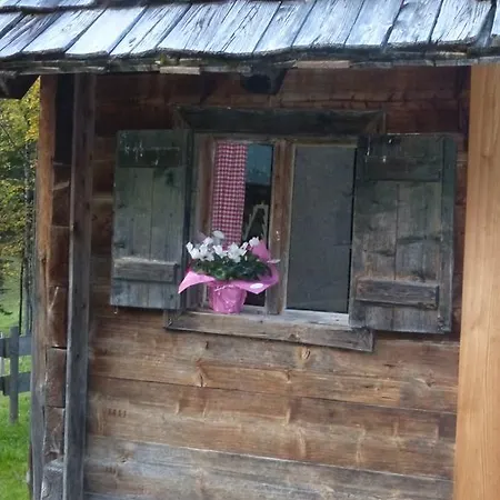 Bio-urlaubshof Dansbach Bauernhof