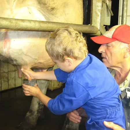 Farmház Bio-urlaubshof Dansbach