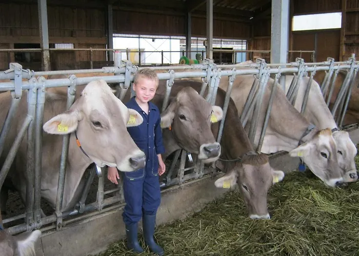 丹巴赫生态休养农家乐 农家乐 *