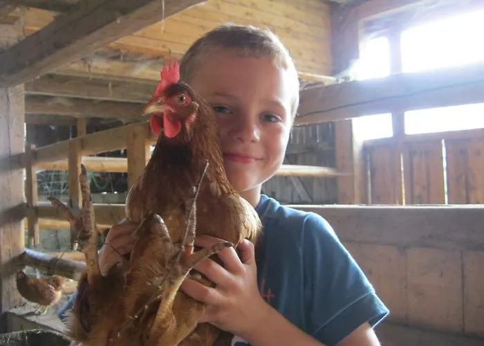 农家乐 丹巴赫生态休养农家乐 *