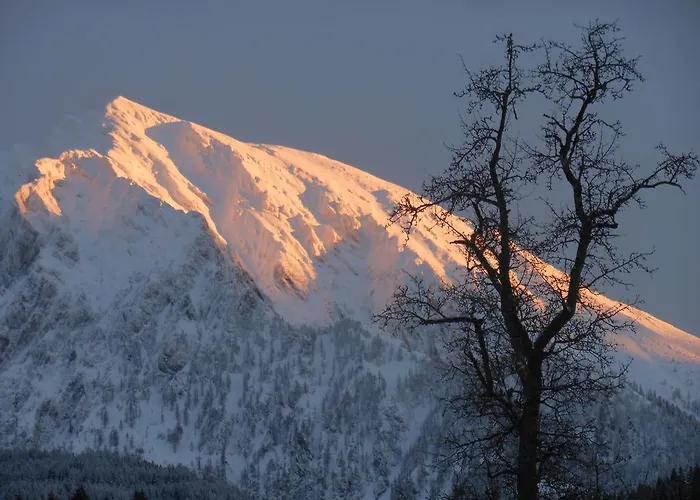 农家乐 丹巴赫生态休养农家乐 *
