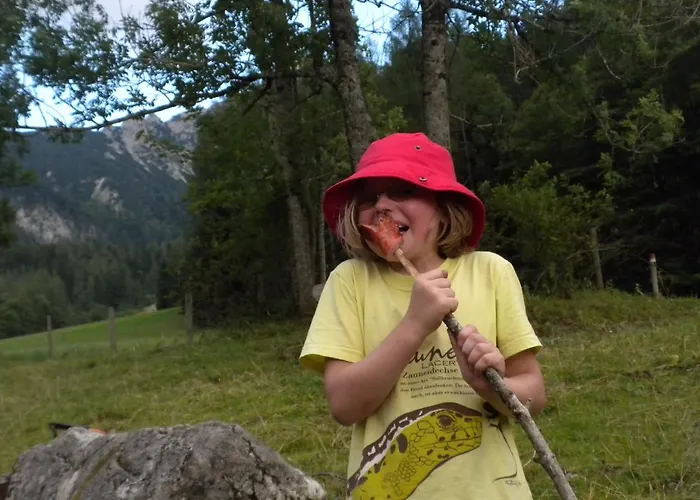 Lantgård Bio-urlaubshof Dansbach Spital Am Pyhrn