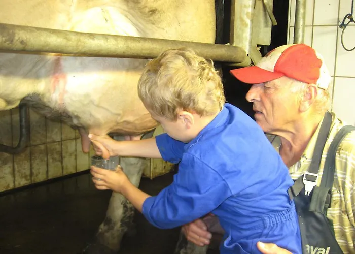 农家乐 丹巴赫生态休养农家乐