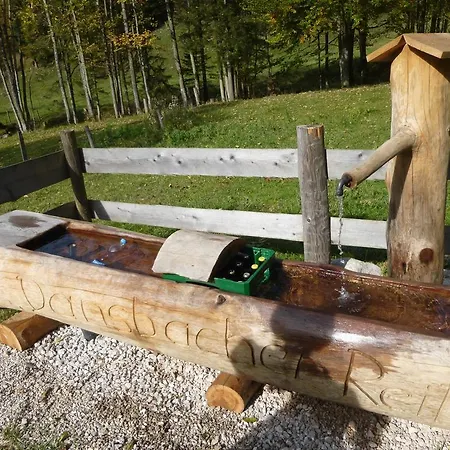 Farmház Bio-urlaubshof Dansbach *