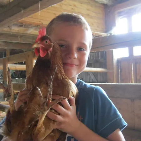 Farmház Bio-urlaubshof Dansbach *