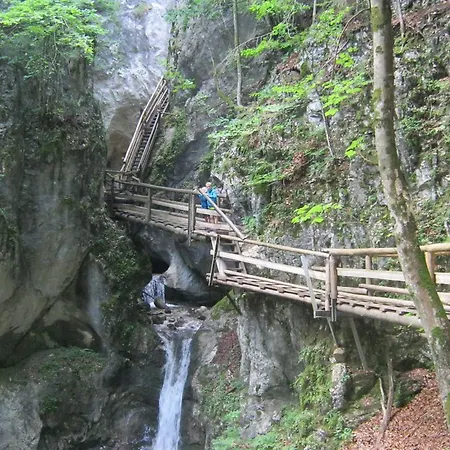 Bio-urlaubshof Dansbach Spital am Pyhrn