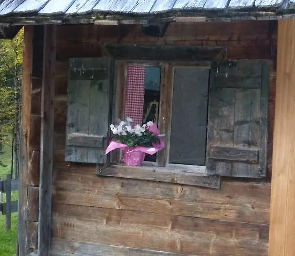 Bio-urlaubshof Dansbach 팜스테이