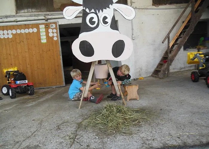 Bio-urlaubshof Dansbach 팜스테이 *